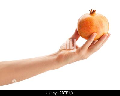 yellow seedless pomegranate in hand path isolated on white Stock Photo