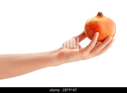 yellow seedless pomegranate in hand path isolated on white Stock Photo