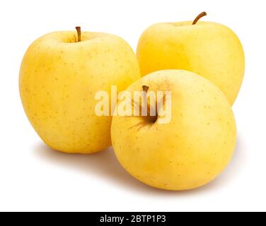 golden delicious apples path isolated on white Stock Photo