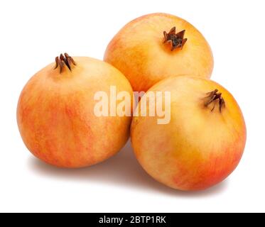 yellow seedless pomegranate path isolated on white Stock Photo