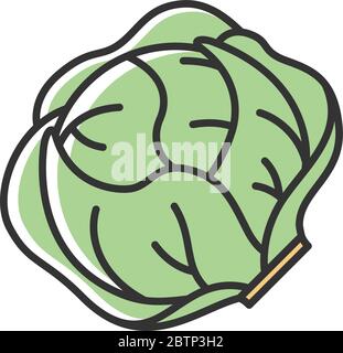 Lettuce green RGB color icon Stock Vector