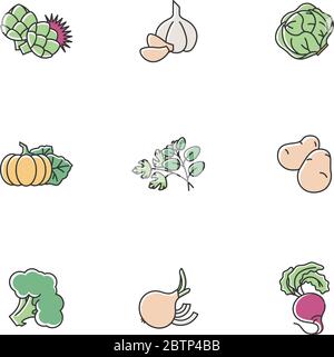 Vegetarian food RGB color icons set Stock Vector