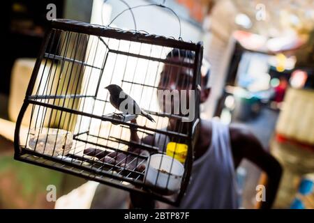 A Colombian boy holds a birdcage, with a wild bird inside, in the bird market in Cartagena, Colombia. Stock Photo