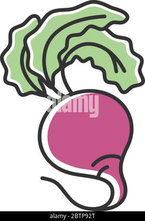 Beetroot RGB color icon Stock Vector