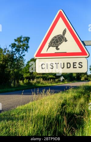 France, Indre, Berry, Brenne Regional Natural Park, Michel en Brenne, road sign danger passage of European pond turtle (Emys orbicularis), protection Stock Photo