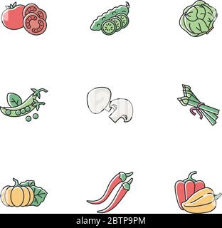 Veggie RGB color icons set Stock Vector