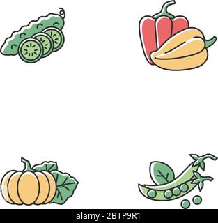 Salad ingredient RGB color icons set Stock Vector