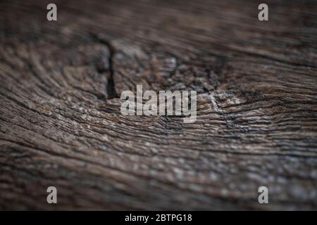 Very nice old wood texture Stock Photo