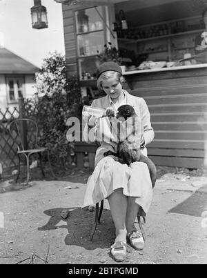 Strange Pals A parrot and a monkey are inseparable pals , pets belonging Miss Doris Edwards , a niece of Hetty King the male impersonator , who lives at Walton on Thames . Miss Edwards and her strange pals a parrot and a monkey . 6 August 1932 Stock Photo