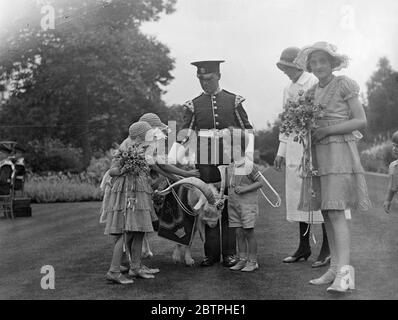 Goat as wedding guest . The pet mascot goat of the 1st Battalion Welsh Regiment was a guest at the reception after the wedding of Miss Brenda Beryl Jarvis , daughter of Sir John and Lady Jarvis of Hascombe court , near Godalming , Surrey , to Mr Drancis Williams , son of Colonel Lawrence Williams , of Anglesey , which took place at St Peters the village church , at Hascombe . Little pages with the goat wedding guest , at the reception at Hascombe Court . 23 July 1932 Stock Photo