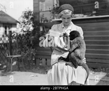 Strange Pals A parrot and a monkey are inseparable pals , pets belonging Miss Doris Edwards , a niece of Hetty King the male impersonator , who lives at Walton on Thames . Miss Edwards and her strange pals a parrot and a monkey . 6 August 1932 Stock Photo