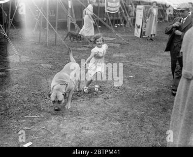 RICHMOND CHAMPIONSHIP DOG SHOW