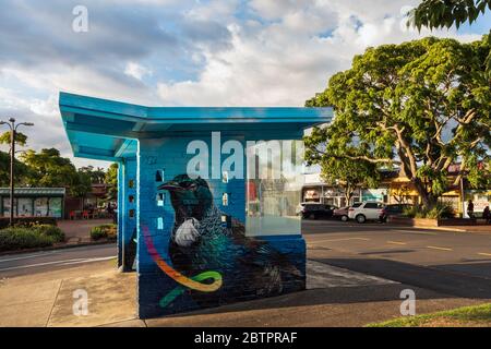 Mural depicting a tui, a native New Zealand bird, on a bus shelter at Mangere Bridge, Auckland, North Island, New Zealand Stock Photo