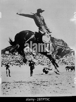 'Mussolini' gets his backup!. Cowboy hanging on for dear life as 'Mussolini', a notorious outlaw broncho who had successfully defied every rider, employed all the tricks in his repertoire to dislodge the man who had temerity enough to get on his back, at a rodeo in Los Angeles, California. 22 December 1937 Stock Photo