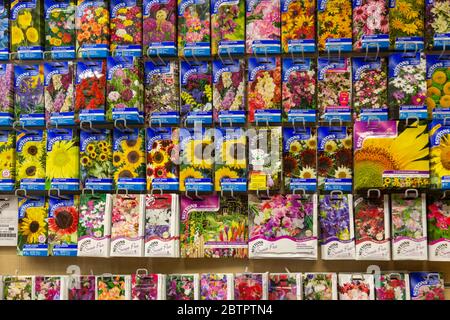 Seed packet display in a British garden centre, UK Stock Photo