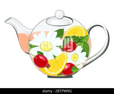 Glass teapot for welding . Tea grass, flowers are brewed. Lemon, chamomile, rosehip, mint. .Vector Stock Vector