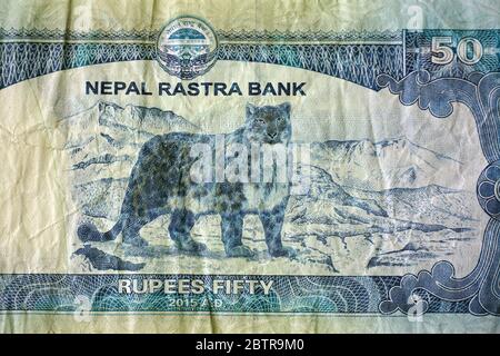 fifty rupees, Nepalese rupee, Nepalesische Rupie, NPR, nepáli rúpia, Nepal, Asia Stock Photo