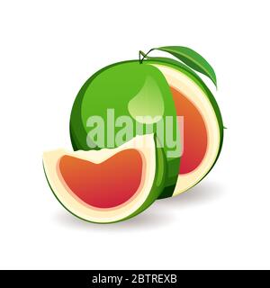 Yummy pomelo isolated on white background. Organic exotic fruit, vector illustration in flat style. Clean eating Stock Vector