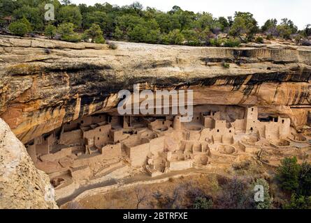 CO00234-00....COLORADO - Cliff Palace alcove village built by the Ancestral Puebloans over 700 years ago, now part of Mesa Verde National Park. Stock Photo