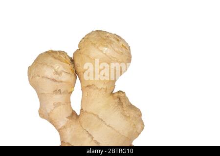 Young fresh ginger root on white background. Spicy crops root used in treatment. Isolated ginger root is used to increase immunity, to lose weight Stock Photo