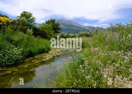 Rio Sabar near the village of Alfarnate, Axarquia, Malaga, Andalucia, Costa del Sol, Spain, Europe Stock Photo