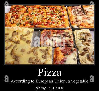 Pizza funny meme for social media sharing. Pizza is a vegetable. Stock Photo