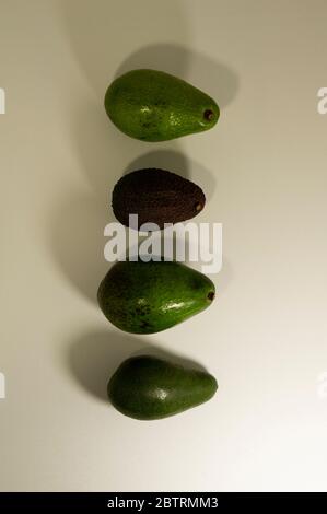 Four avocado of different varieties. Hass, Pinkerton, Bacon and Fuerte ...