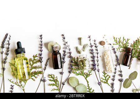 Homeopathy eco alternative medicine concept - classical homeopathy pills, thuja, eucalyptus, lavender essential and aroma oil and healing herbs and on white background. Flatlay. Top view. Copyspace Stock Photo