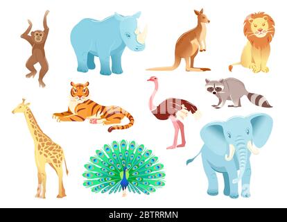 Cartoon character animals set Isolated on white background. Funny zoo shapes. Vector illustration object. Flat collection Rhinoceros kangaroo Ostrich tiger lion elephant monkey giraffe raccoon. Stock Vector