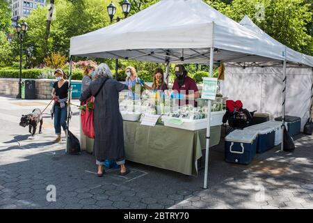 New York City, New York, USA - May 21, 2020: Farm Stand with farmer's and market-goers wearing masks and social distancing, Union Square Farmer's Mark