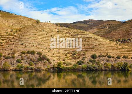 The Douro River Valley in northern Portugal is the birthplace of Port Wine.  The region is known for its' grape vines, almond trees and olive trees. Stock Photo