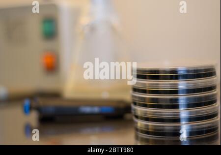 Material for a research in vitro experiment: petri dishes containing culture medium, forceps, micropipette and automatic sterilizator Stock Photo