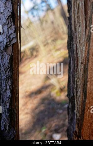View through broken building trunk leads into the sloping Stock Photo