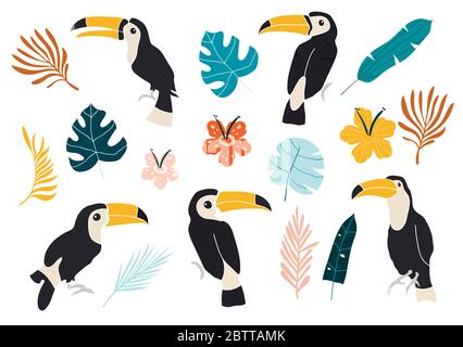 Tropical Background. Toucan Bird, Cactus, Flowers. Seamless Pattern.  print jungle seamless  pattern. Stock Vector