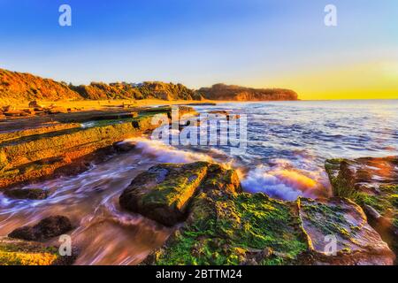 Bright warm rising sun light on seaweeds and sandstone rocks around Sydney Northern beaches in Australian seascape. Stock Photo
