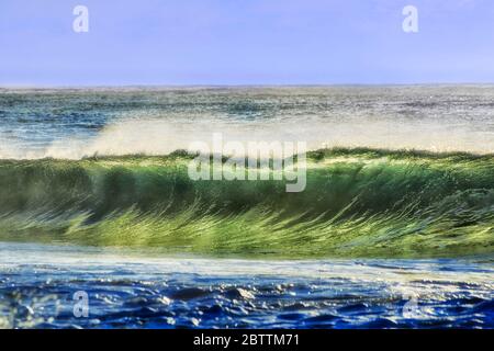 Emerald colour of rolling wave lit by soft morning sun at Sydney Northern beach. Stock Photo