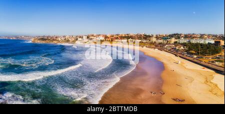 Wide sandy bondi beach of Sydney on Pacific ocean shore surrounded by Eastern suburbs in soft morning light.