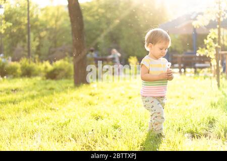 Childhood, nature, summer, parks and outdoors concept - portrait of cute blond-haired little boy in striped multi-colored T-shirt with dandelion in Stock Photo