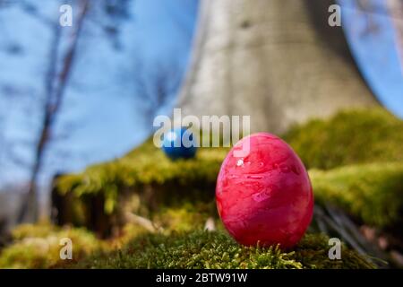 Pink Easter egg with blurred blue egg in the background, in front of a massive tree Stock Photo
