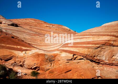 NV00136-00....NEVADA - The Fire Wave in Valley of Fire State Park. Stock Photo