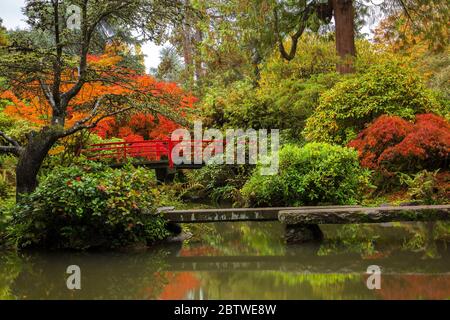 Beautiful fall colors and reflections at Kubota Garden in Seattle, WA Stock Photo