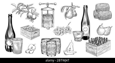 Set of pear and apple cider. Harvest pears, apples, press, barrel, glass and cider bottle. Hand drawn craft fruit beer collection. Engraving vintage Stock Photo
