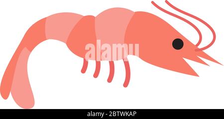 Shrimp graphic design template vector isolated Stock Vector