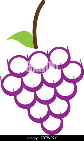 Grape fruit graphic design template vector isolated Stock Vector