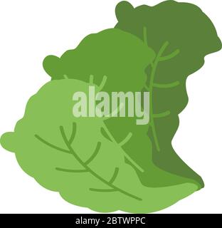 Mustard leaves graphic design template vector isolated Stock Vector