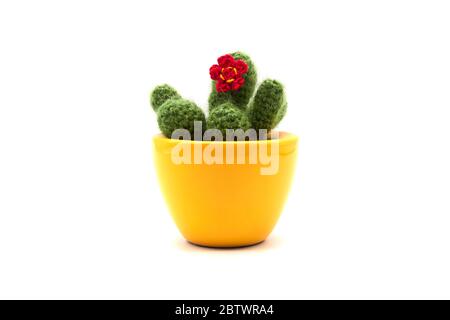 Small green cactus made of fabric in yellow clay pot, beautiful red flower, handmade Stock Photo
