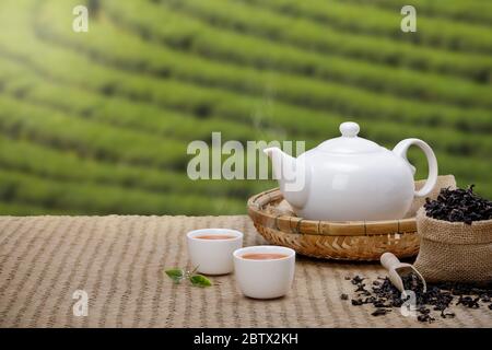 Warm cup of tea with teapot, green tea leaves and dried herbs on the bamboo mat at morning in plantations background with empty space, Organic product Stock Photo