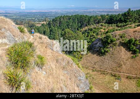 Hiker on Te Mata Peak Stock Photo