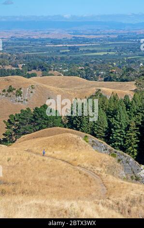 Hiker on Te Mata Peak Stock Photo