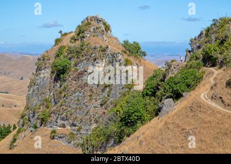 Hiker on Te Mata Peak Stock Photo